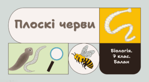 7 клас НУШ.   Плоскі черви