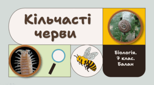 7 клас НУШ.  Кільчасті черви