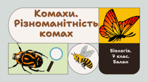 7 клас НУШ.   Комахи. Різноманітність комах