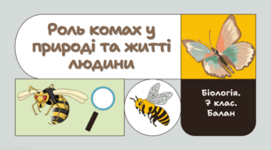 7 клас НУШ. Роль комах у природі та житті людини
