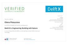  Engineering: Building with Nature