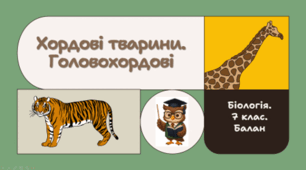 7 клас НУШ.   Хордові тварини. Головохордові