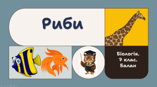 7 клас НУШ.  Риби