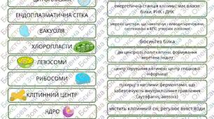 Дидактичний матеріал "Будова клітини"