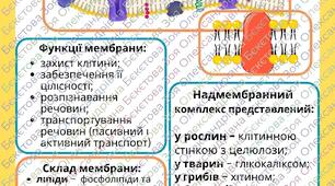 Дидактичні картки "Клітина"