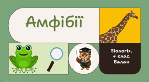 7 клас НУШ.  Амфібії