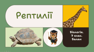 7 клас НУШ.  Рептилії