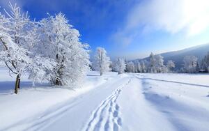 08015e9d-4d7b-300x188.jpg