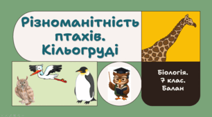 7 клас НУШ.   Різноманітність птахів. Кільогруді