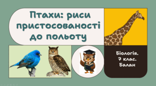 7 клас НУШ.   Птахи: риси пристосованості до польоту