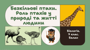 7 клас НУШ.  Безкільові птахи. Роль птахів у природі та житті людини