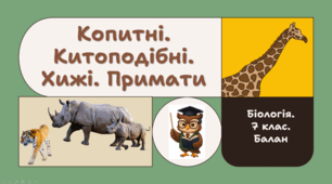 7 клас НУШ.  Копитні. Китоподібні. Хижі. Примати