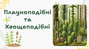 7 клас НУШ. Плауноподібні та Хвощеподібні