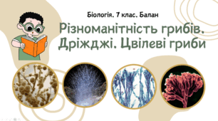 7 клас НУШ.   Різноманітність грибів. Дріжджі. Цвілеві гриби