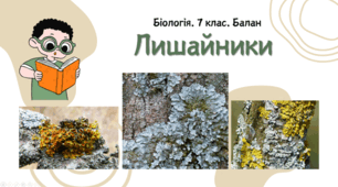 7 клас НУШ.  Лишайники