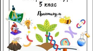 Робочий зошит "Пізнаємо природу" 5 клас (Біда, Гільберг)