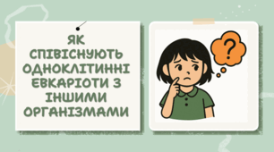 7 клас НУШ. Як співіснують одноклітинні евкаріоти з іншими організмами