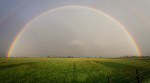 Weather and Environment