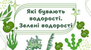 7 клас НУШ.  Які бувають водорості. Зелені водорості