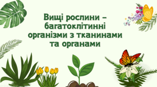 7 клас НУШ. Вищі рослини – багатоклітинні організми з тканинами та органами