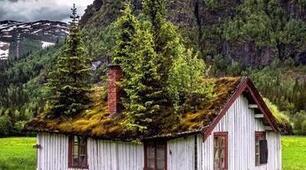 Календарно-тематичне планування "Здоров'я, безпека та добробут" (8 клас, НУШ) за програмою Воронцової Т.В. - 1,5 год/тиждень