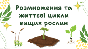 7 клас НУШ. Розмноження та життєві цикли вищих рослин