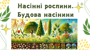 7 клас НУШ. Насінні рослини. Будова насінини