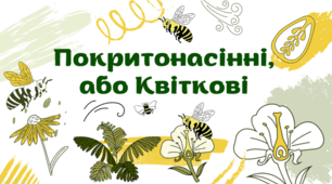 7 клас НУШ. Покритонасінні, або Квіткові
