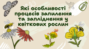 7 клас НУШ. Які особливості процесів запилення та запліднення у квіткових рослин