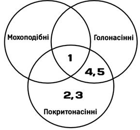 08015jzw-c310-289x269.png