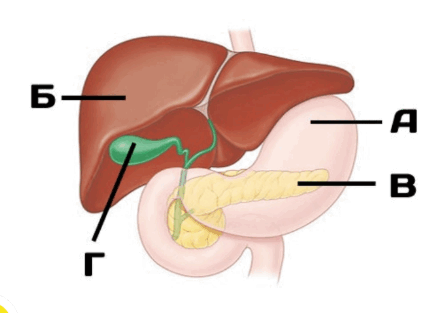 08015k0d-18f1-441x313.png