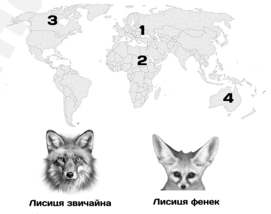 08015k0m-fe14-552x437.png