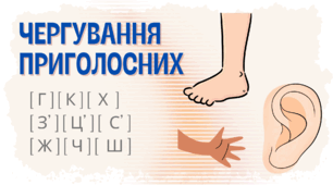 Чергування приголосних в корені слова 4 клас