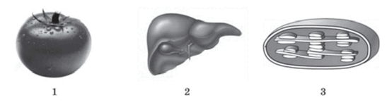 08015kc6-4cd7-547x149.png