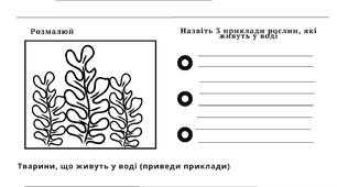 Вода як середовище життя Робочий аркуш