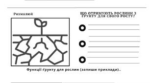 Робочий аркуш «Значення ґрунту для рослин»