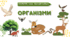 7 клас НУШ.  Організми