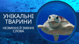 Змінні та незмінні слова