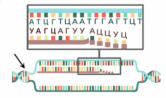08015mbv-6ed9-562x332.png