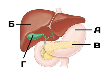 08015mev-c7da-446x301.png