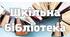 Всесвітній день молоді в шкільній бібліотеці