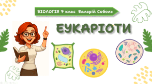 7 клас НУШ.  Еукаріоти