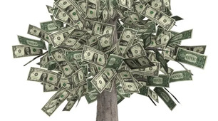 Money