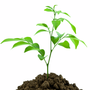 08015n6x-3c5e-389x387.png