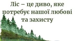 Ліс – це диво, яке потребує нашої любові та захисту