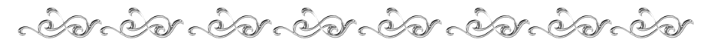 08015nmu-ae87-838x52.png