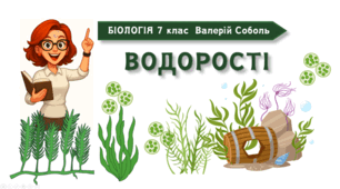 7 клас НУШ. Водорості