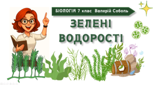7 клас НУШ.  Зелені водорості