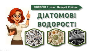 7 клас НУШ.  Діатомові водорості