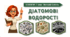 7 клас НУШ.  Діатомові водорості